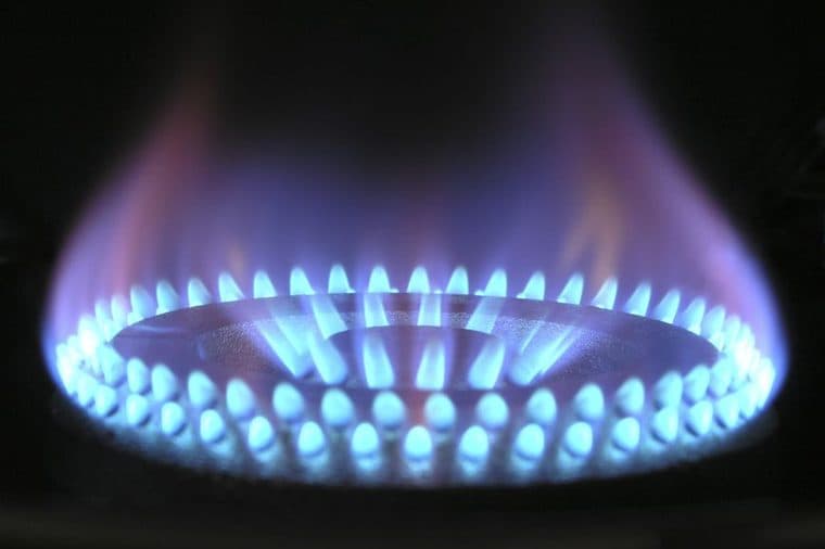 A blue gas stove flame burning on a cooktop