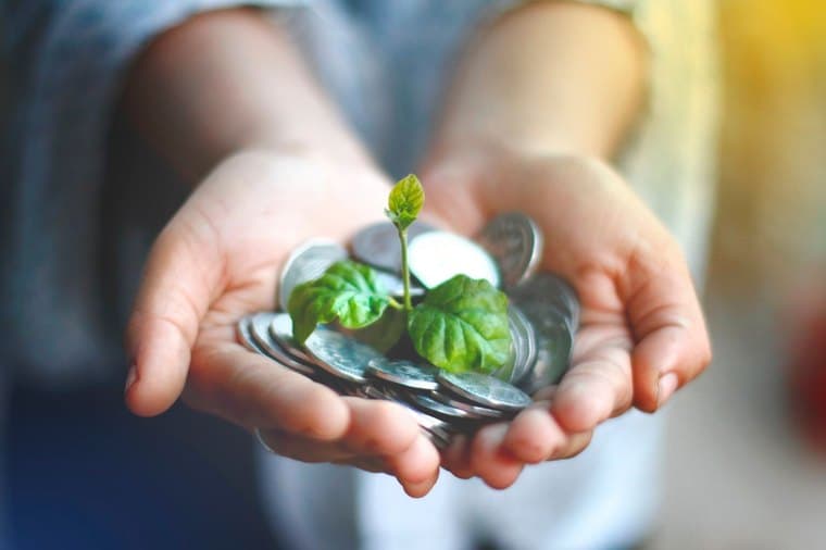 A young plant sprouting from coins, representing ethical and sustainable investing