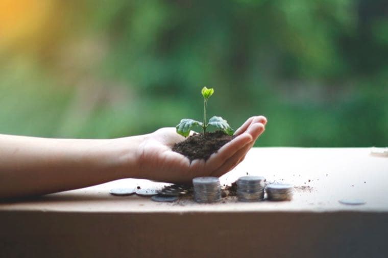 A hand holding a young plant growing above stacked coins