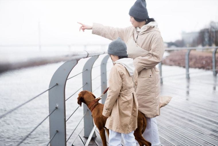 Pet Insurance in Australia: Is It Actually Worth It?
