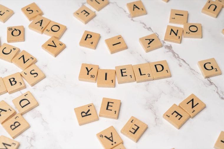What Is a Dividend? A Beginner's Guide for Australian Investors
